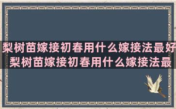 梨树苗嫁接初春用什么嫁接法最好 梨树苗嫁接初春用什么嫁接法最好视频